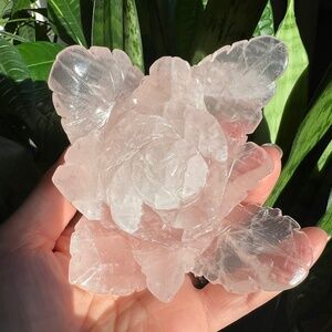 Rose quartz flower craving (c) | crystal